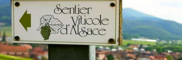 Octobre, l’automne et ses plaisirs gustatifs !