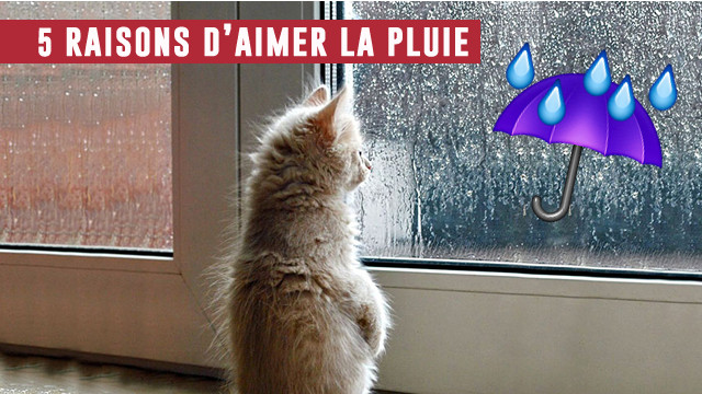 5 bonnes raisons d'aimer la pluie, même en été !