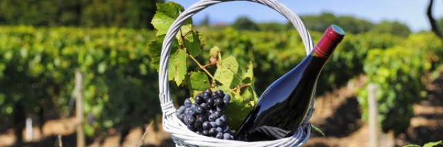 Le Beaujolais nouveau est arrivé !