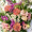 Anaismariage