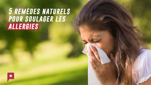 5 plantes pour soulager l’allergie printanière