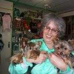 Annabell