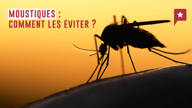 Anti moustique, comment éviter les piqûres ?